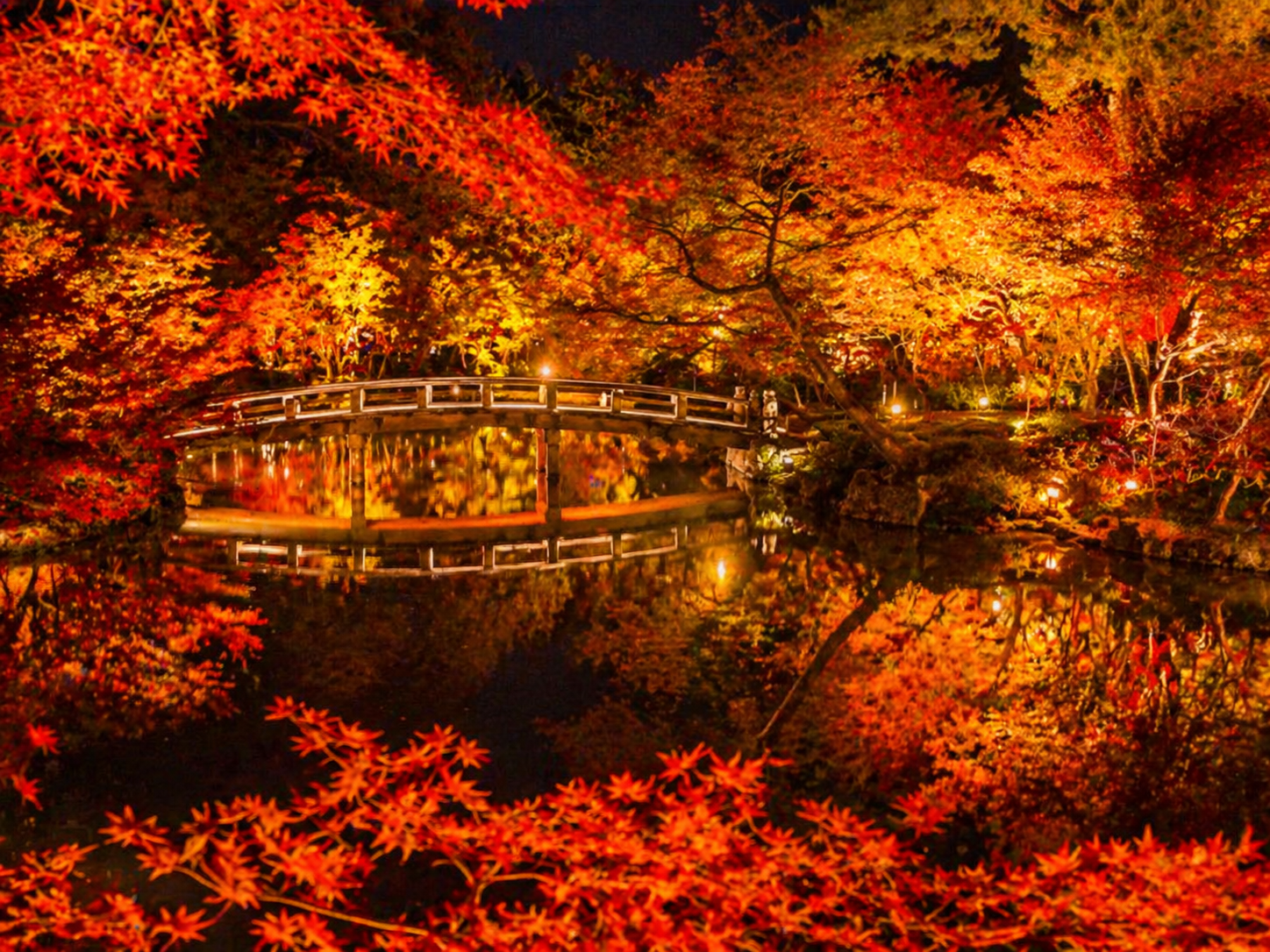 The Privilege of Reaching Japan's Core